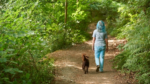 A visitor walking their dog on a path between trees at Parke
